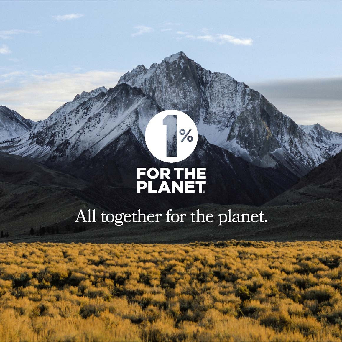 Photo of mountain range overlaid with 1% for the planet logo and motto: All together for the planet.