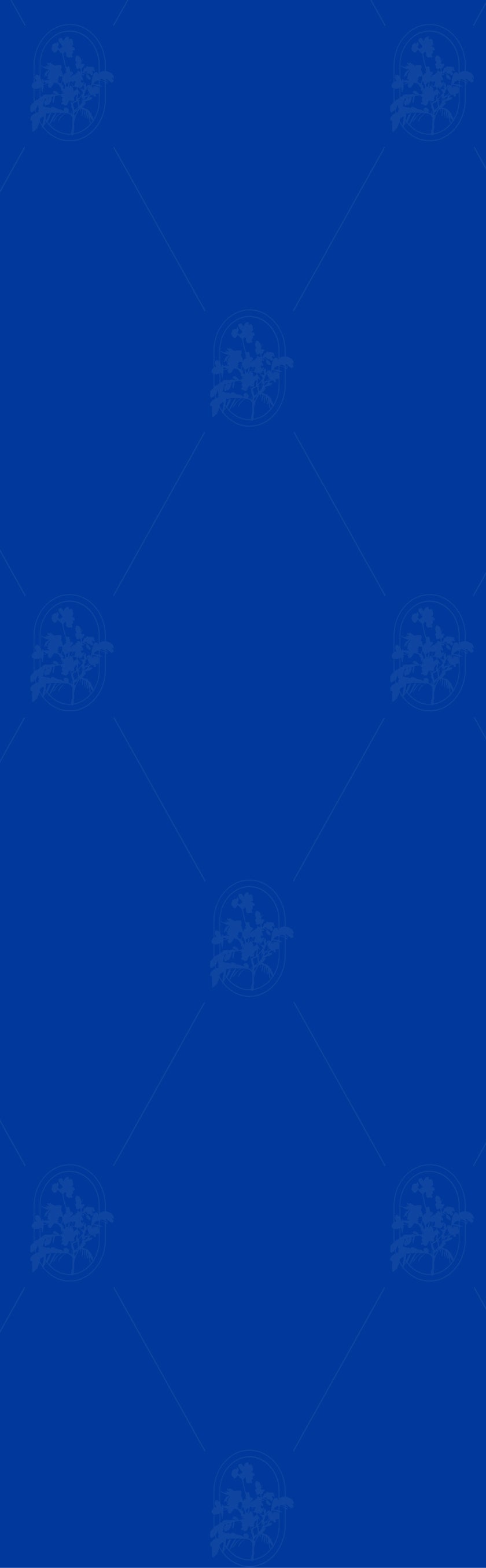 Blue background with blue floral patterns