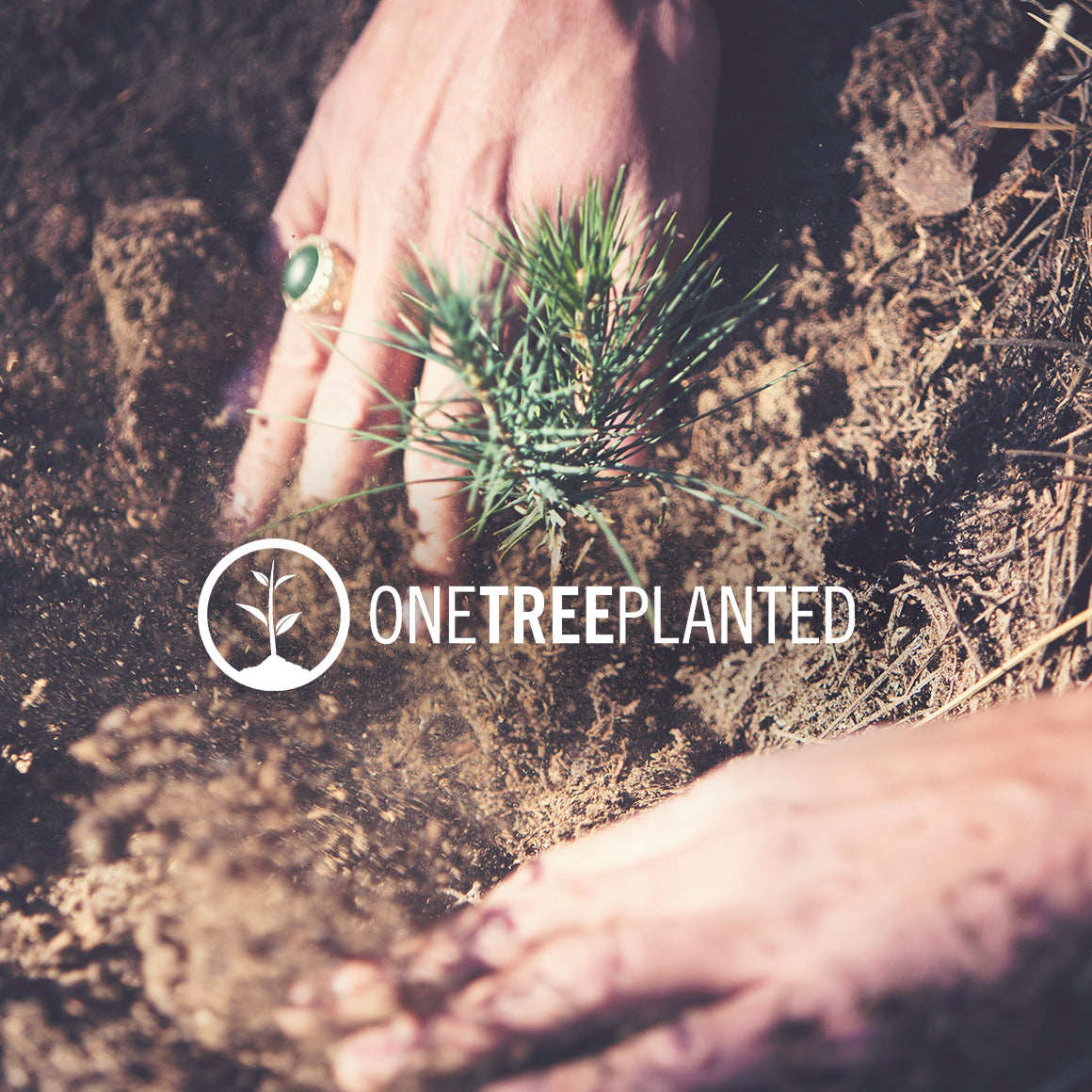 Photo of tree being planted overlaid with One Tree Planted logo
